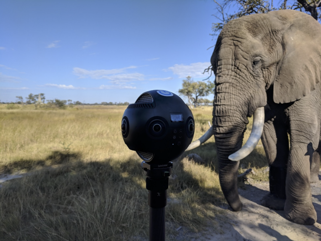 Foto-Aafrika-elevandist-kes-seisab-kaamera-Insta360-Pro-kõrval
