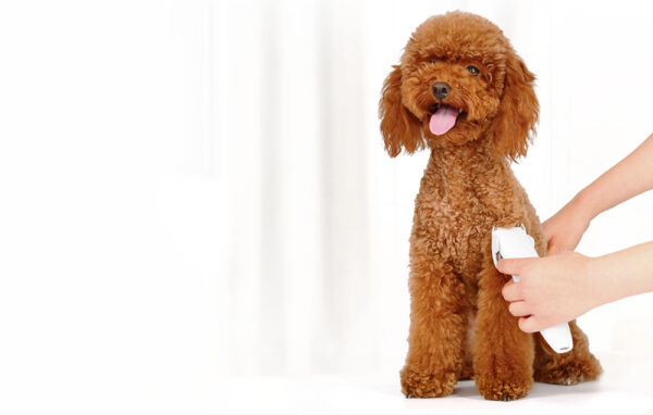 Pawbby-Pet-Trimmer