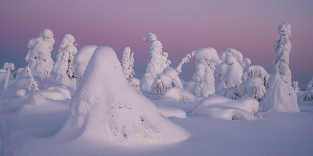 Lapland by Nikkor Z 24-120mm f/4 lens