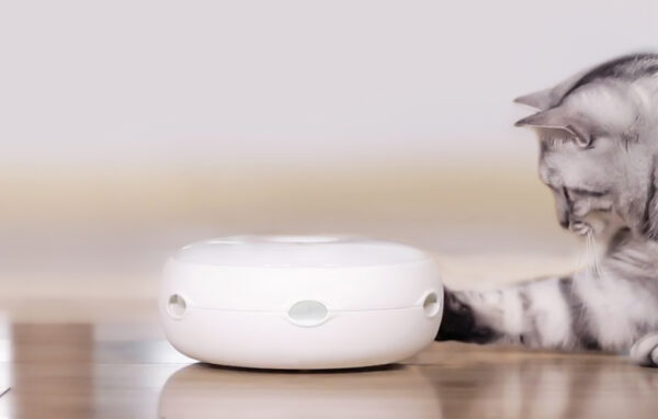 Homerun CT10 intelligent toy for cats