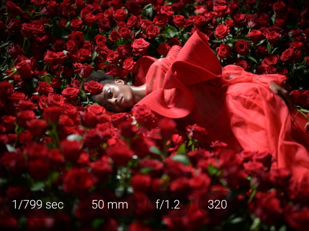 Pildil lamab neiu punases kleidis keset punaste lillede aasa
