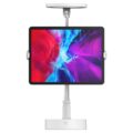SMALLRIG Selection 3242 Portable Light L10