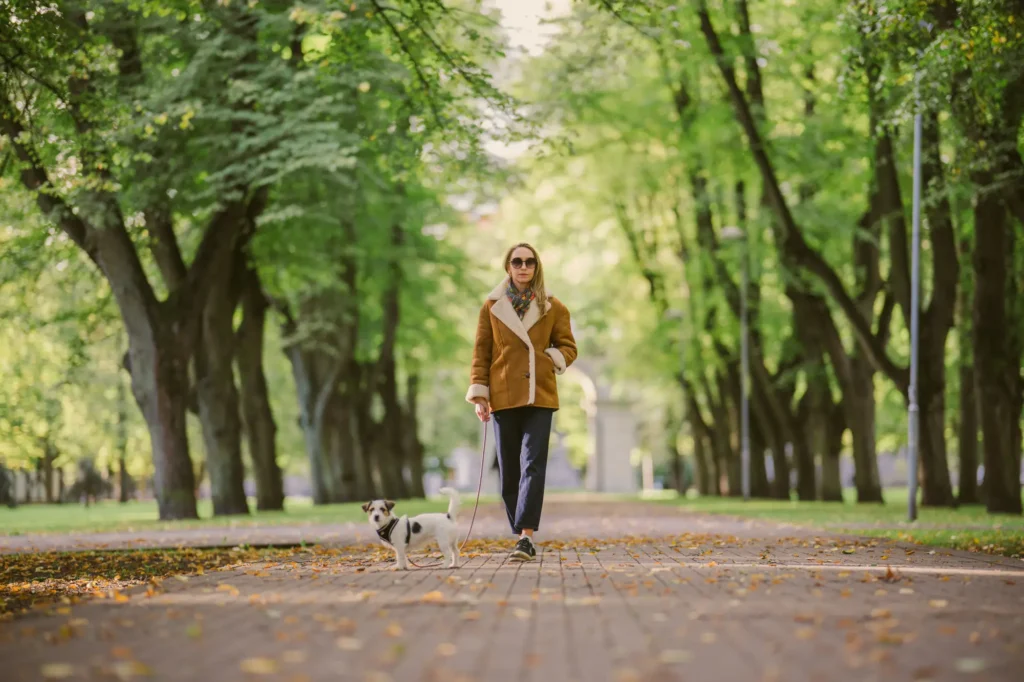 Sügisene pargiallee, naine koerakesega jalutamas pargiteel. Puud on veel roheliste lehtedega kaetud.
