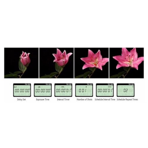 Pixel TW-283/DC0 juhtmevaba vastuvõtja