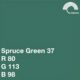 COLORAMA PAPER BACKGROUND 2.72X11M SPRUCE GREEN RGB
