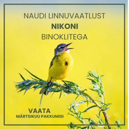 Linnuvaatlus Nikon binokliga