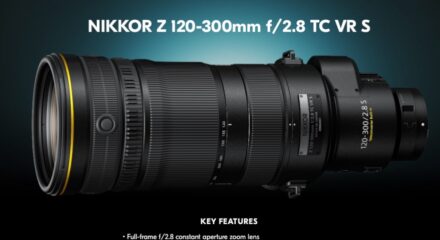 NIKKOR Z 120-300mm f/2.8 TC VR S