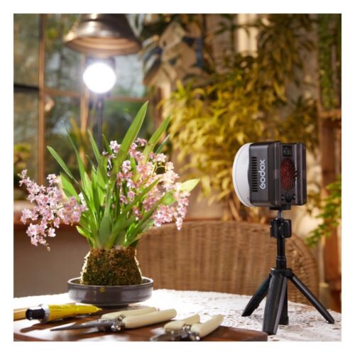 Godox RGB LED videovalgusti ML40R tagant valgustab lilli