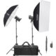 Godox SK300III-V Studio Flash Kit komplekt