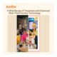 Godox Portable Color Photo Printer P100 taustad