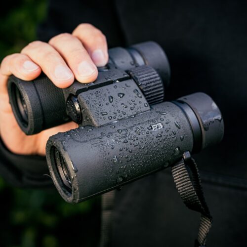 Nikon PROSTAFF P3 binokkel kasutuses looduses