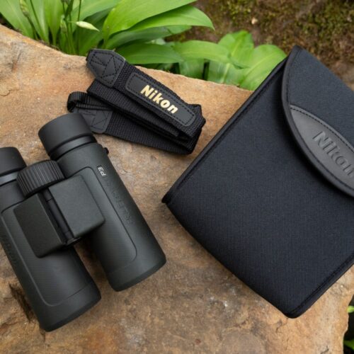 Nikon PROSTAFF P3 binokkel kasutuses looduses