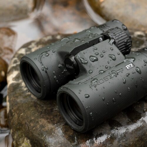 Nikon PROSTAFF P7 binokkel kasutuses looduses