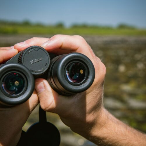 Nikon MONARCH binokkel kasutuses looduses