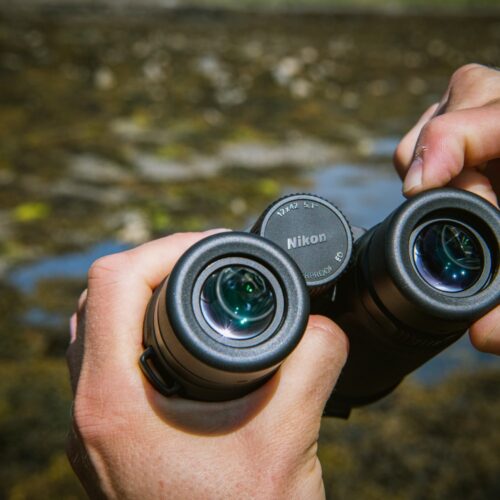 Nikon MONARCH binokkel kasutuses looduses