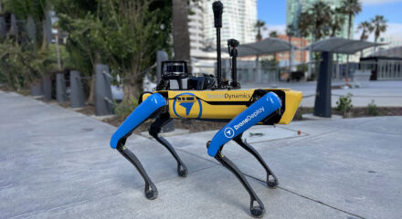 robodog-insta360