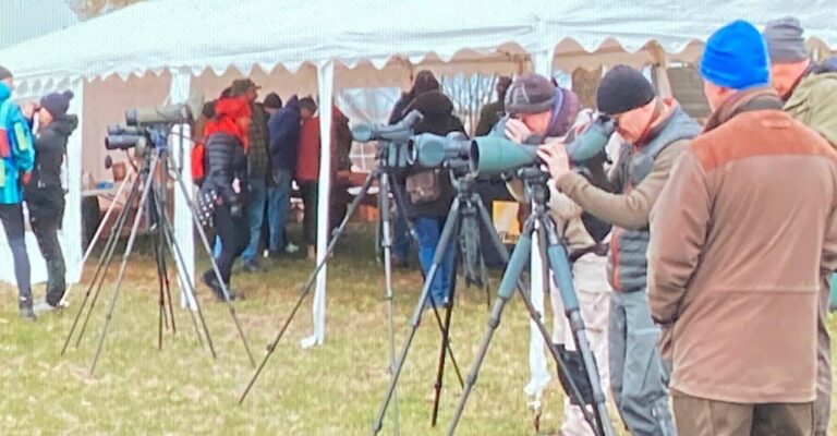 Nikon binocular special prices at Haeska birdshow