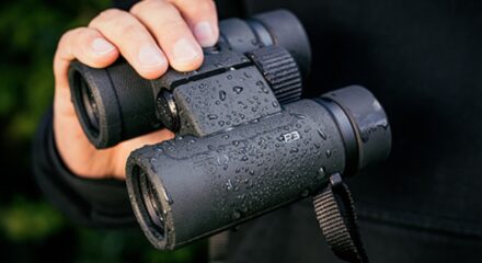 Sel aastal pakub Nikon Euroopa meile võimalust soetada kübernädala 10 päeva jooksul valitud binokkleid soodsama hinnaga.