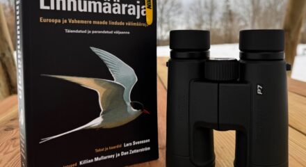 Lindude määramisvõistlus 2024